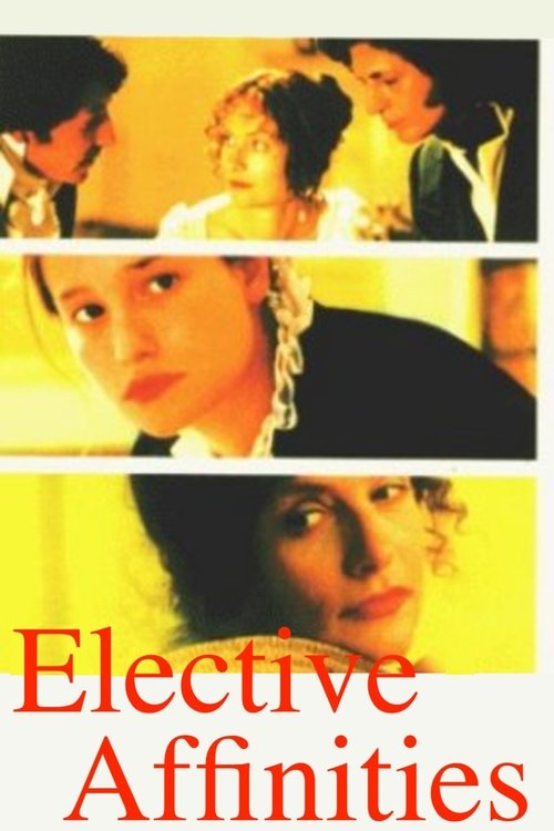 Le affinità elettive (1996) poster