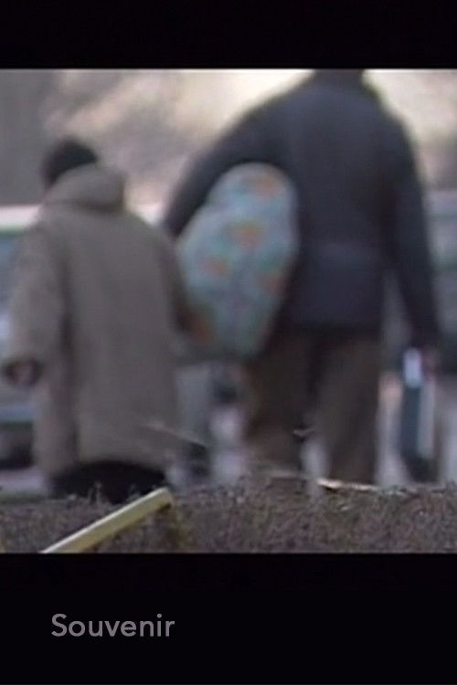 Souvenir (2001) poster