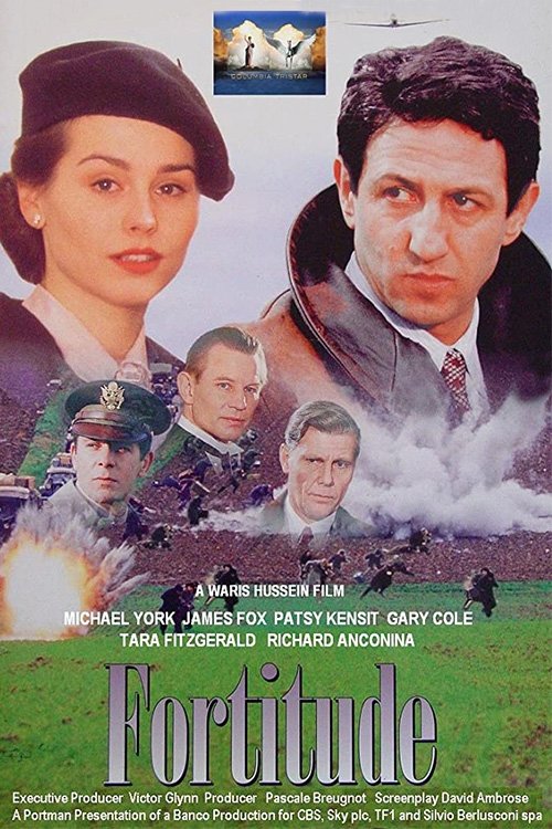 Fall from Grace (1994) poster
