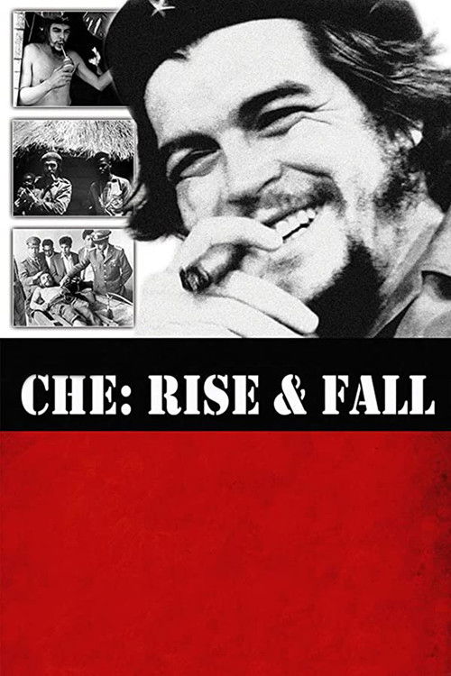 Che: Rise and Fall (2009) poster