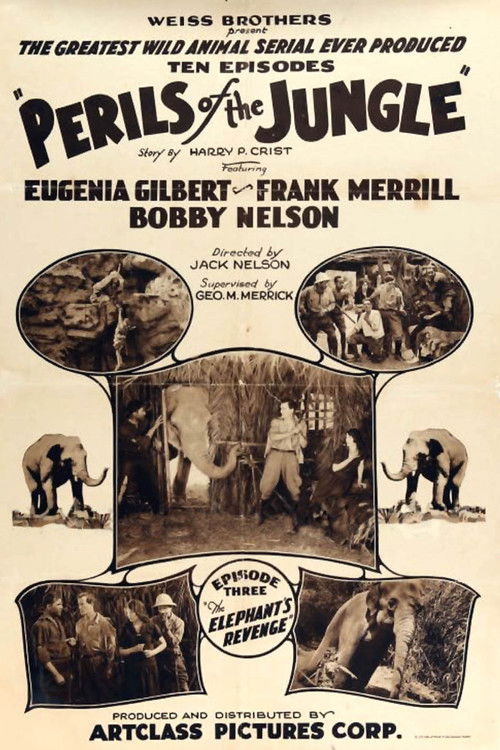 Perils of the Jungle (1927) poster