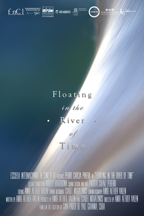 Floating in the River of Time (2020) poster