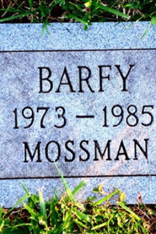 Julius Caesar Was Buried in a Pet Cemetery (2018) poster