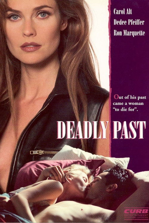 Deadly Past (1995) poster