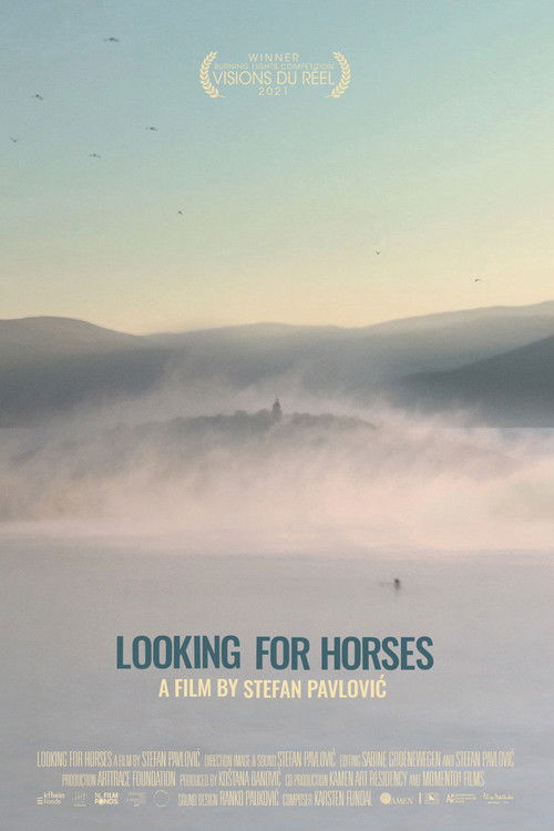 Looking for Horses (2021) poster