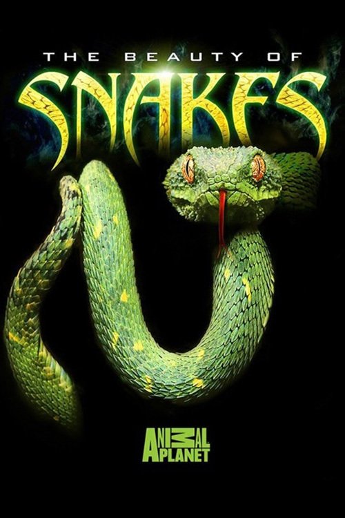 The Beauty of Snakes (2003) poster