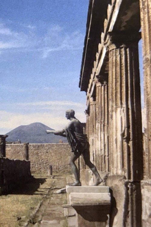 CACTUS EN ITALIE (2025) poster