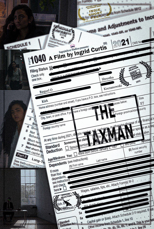The Taxman (2021) poster
