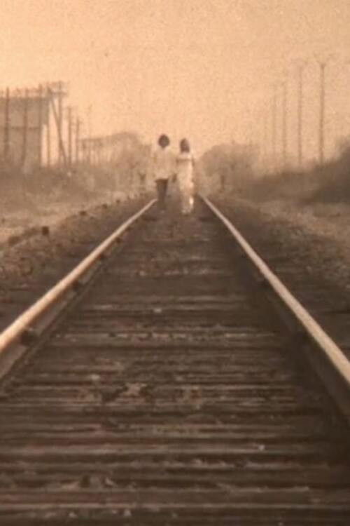 Homicide (1975) poster