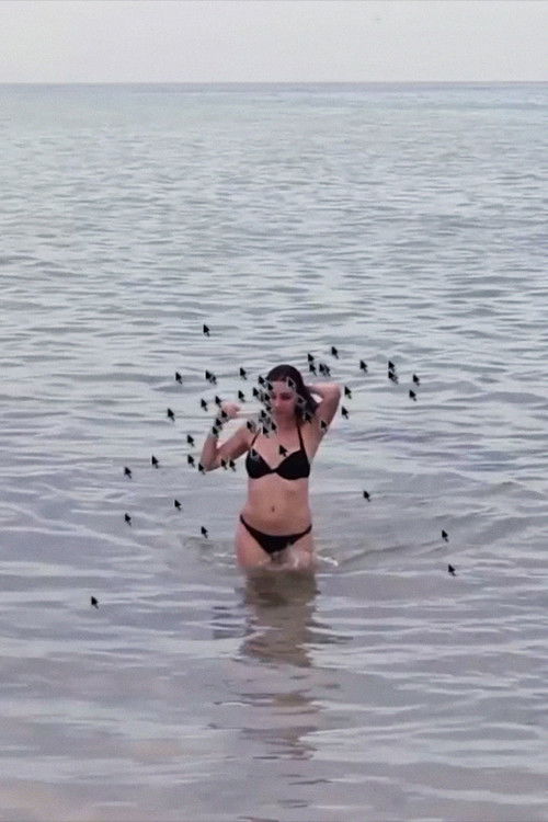 Hot Beach Babe Aims to Please (2014) poster