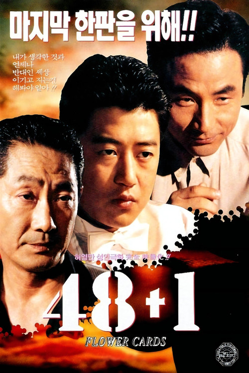 48 + 1 (1995) poster