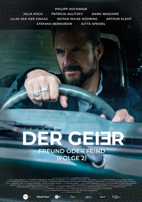 Der Geier – Freund oder Feind (2025) poster