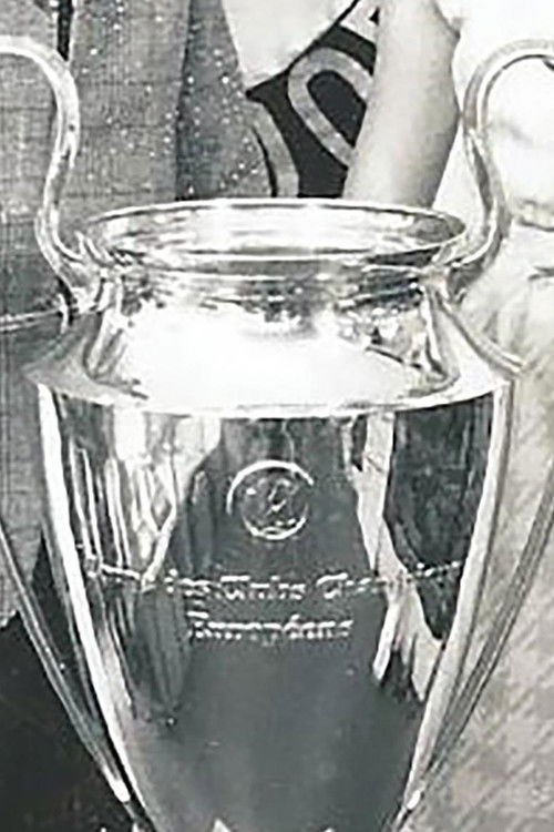 We hebben 'm!! (2020) poster