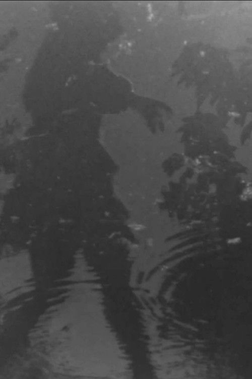 Fantasía Urbana poster