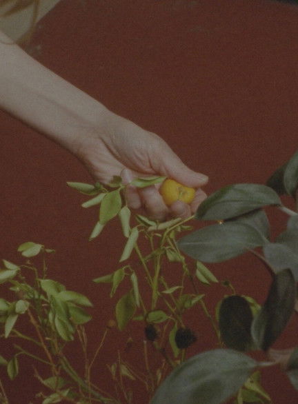 Barefoot Birthdays on Unbreakable Glass (2023) poster