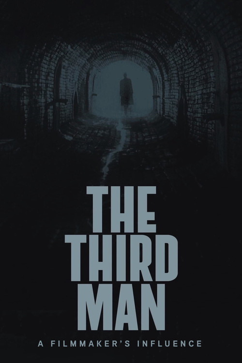 The Third Man: A Filmmaker's Influence (2015) poster