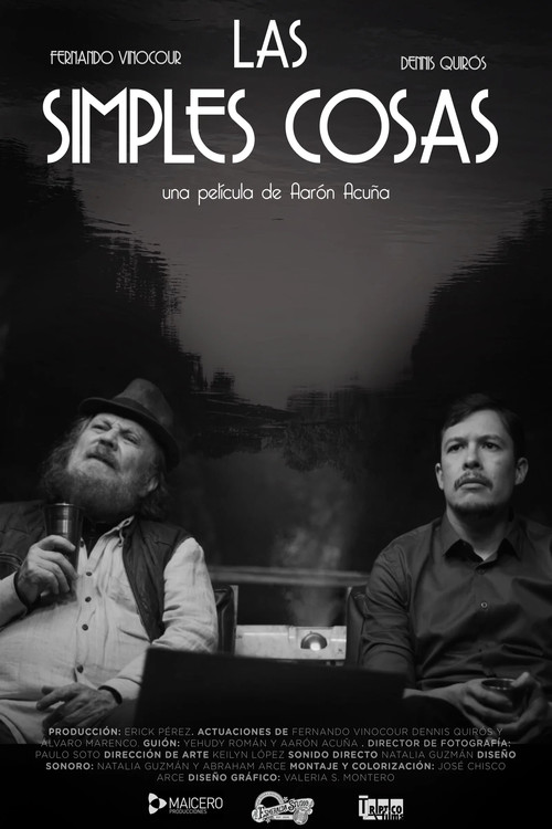 Las simples cosas (2024) poster