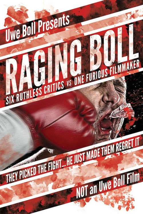 Raging Boll (2010) poster