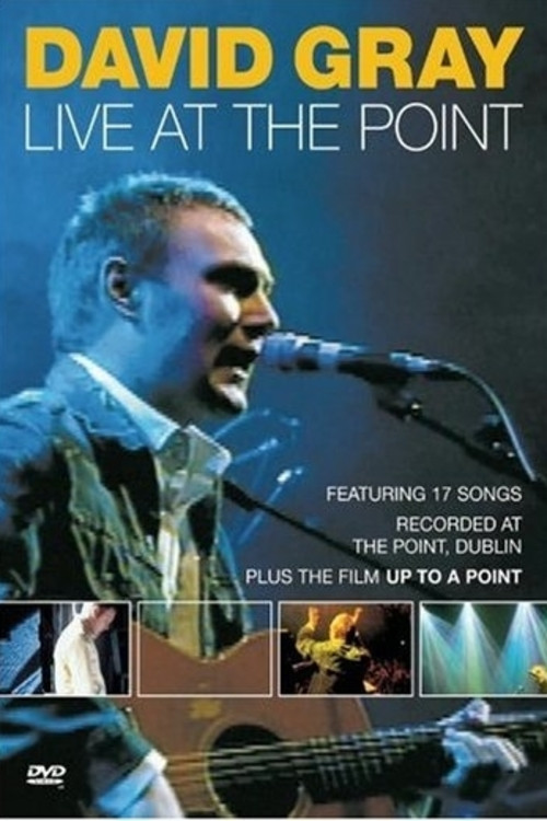 David Gray: Live at the Point (2001) poster