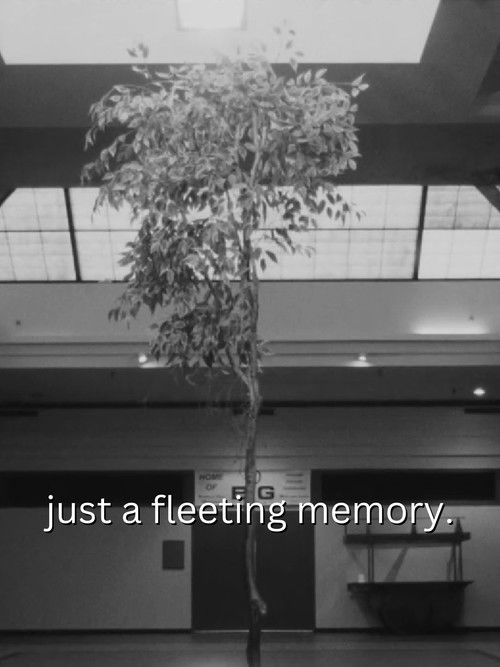 just a fleeting memory. (2024) poster