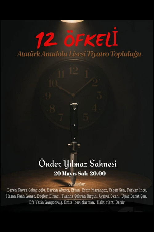 12 Kızgın (2025) poster