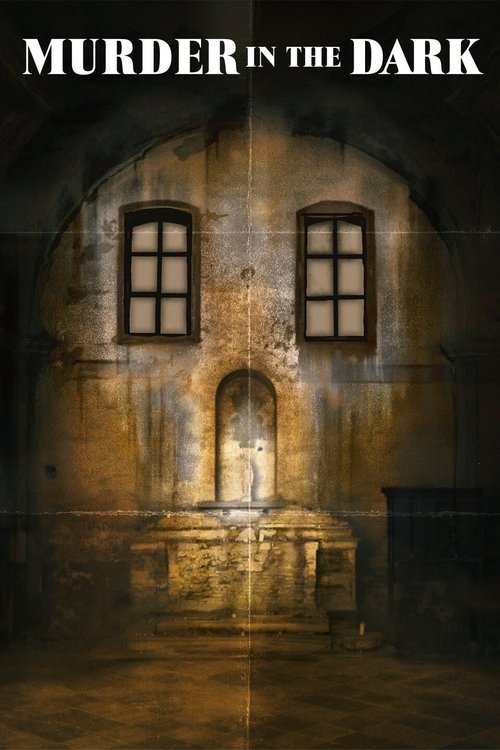 Murder in the Dark (2013) poster