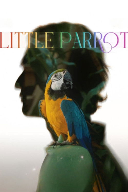 Little Parrot (2022) poster