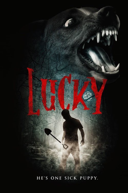 Lucky (2004) poster