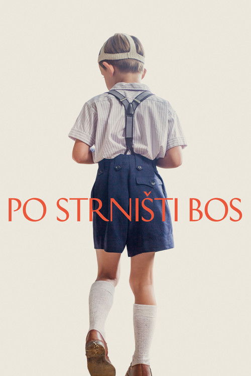 Po strništi bos (2017) poster