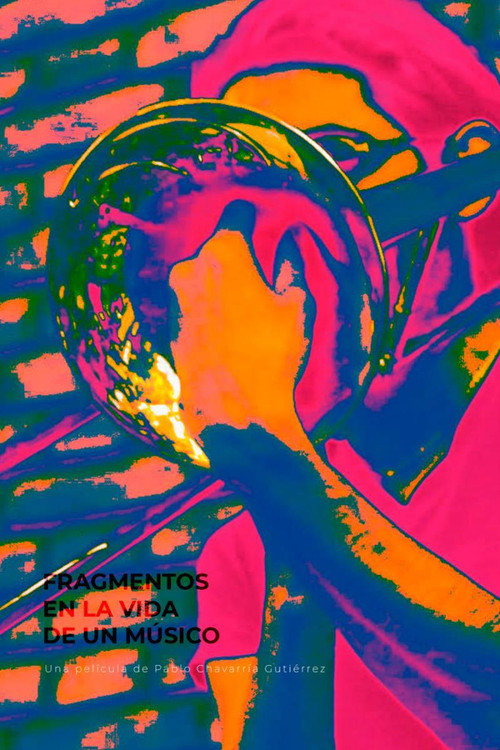 Fragmentos en la vida de un músico (2020) poster