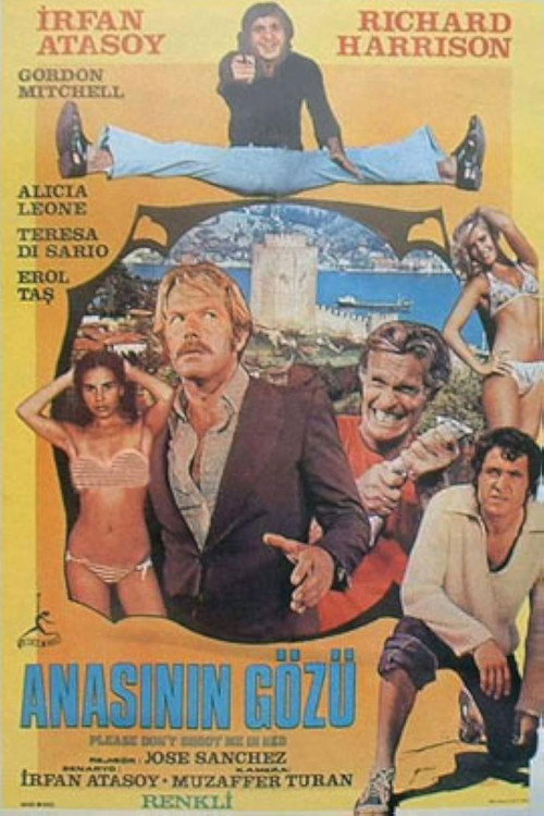 Anasının Gözü (1975) poster