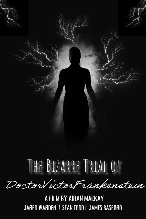 The Bizarre Trial of Doctor victor Frankenstien (2025) poster