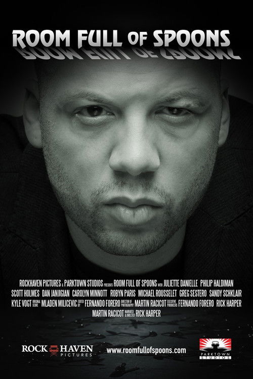 Room Full of Spoons (2016) poster