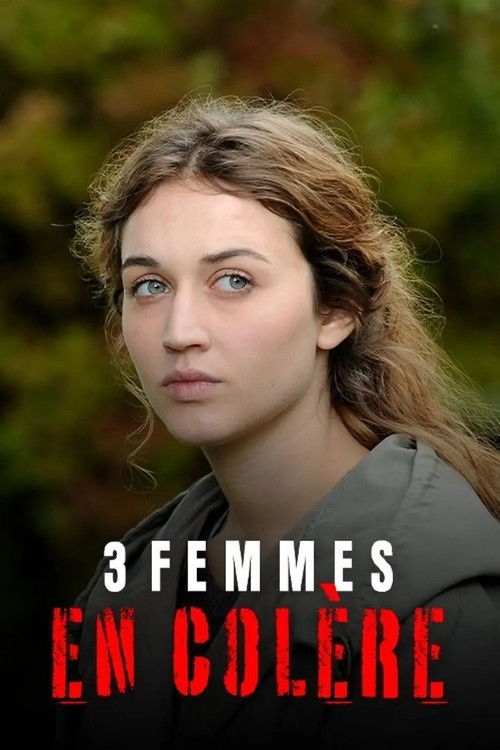 3 femmes en colère (2013) poster