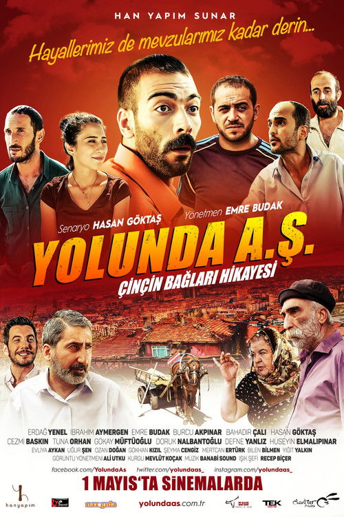 Yolunda A.Ş. Çinçin Bağları Hikayesi (2015) poster