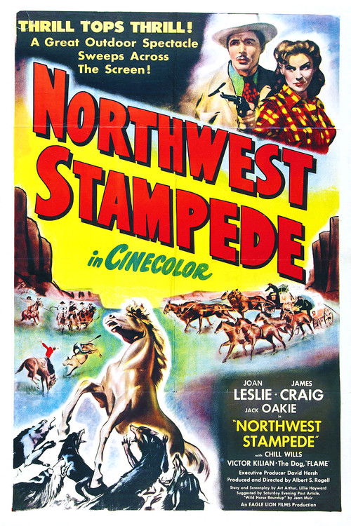 Northwest Stampede (1948) poster