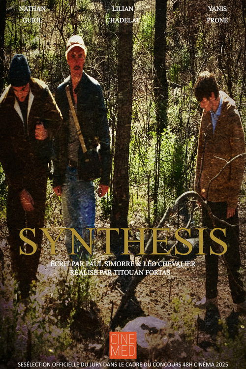 Synthesis (2025) poster