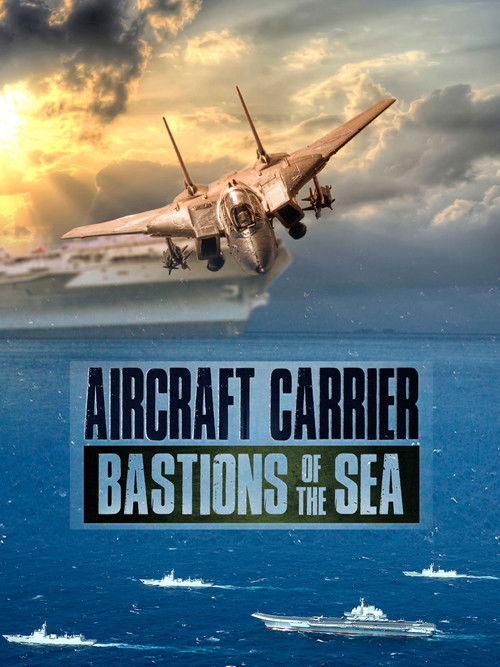 Aircraft Carriers: Bastions Of The Sea poster