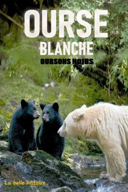 Ourse blanche, oursons noirs : la belle histoire (2017) poster
