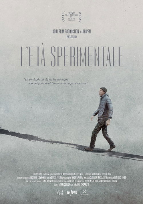 L'età Sperimentale (2024) poster