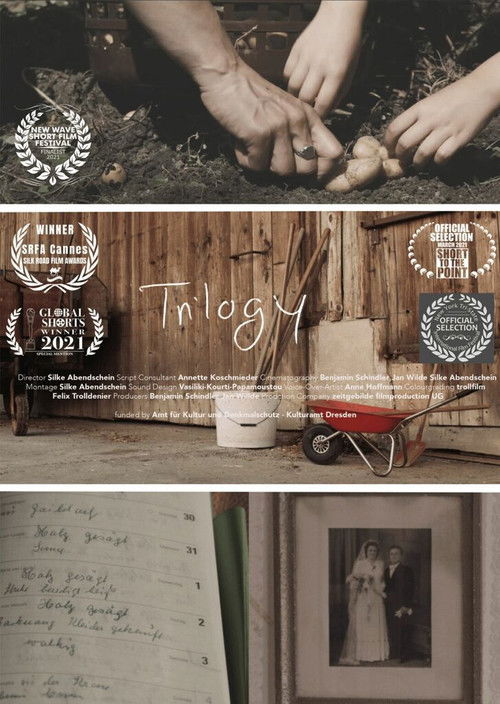 Trilogy (2020) poster