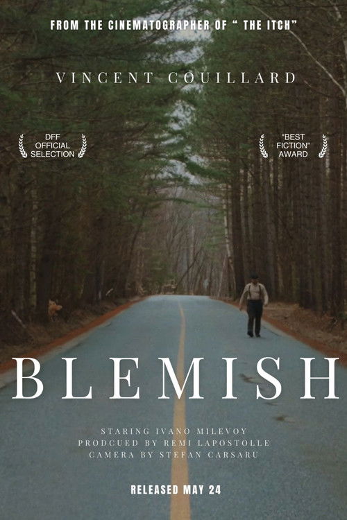Blemish (2025) poster