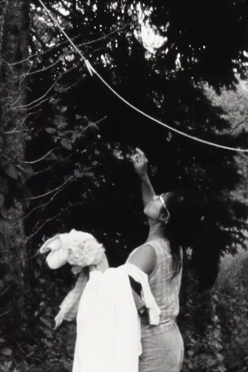 Stranger Baby (1995) poster