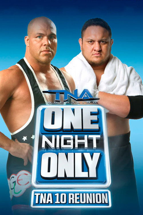 TNA One Night Only: 10 Reunion 2013 (2013) poster