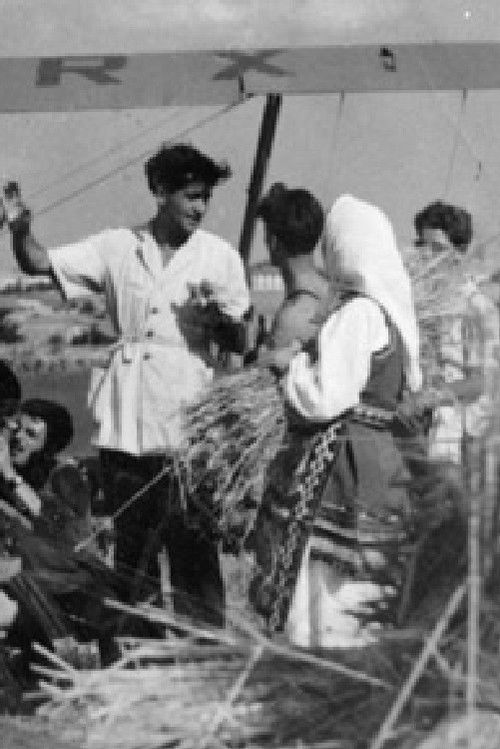 По долината на Вардар (1950) poster