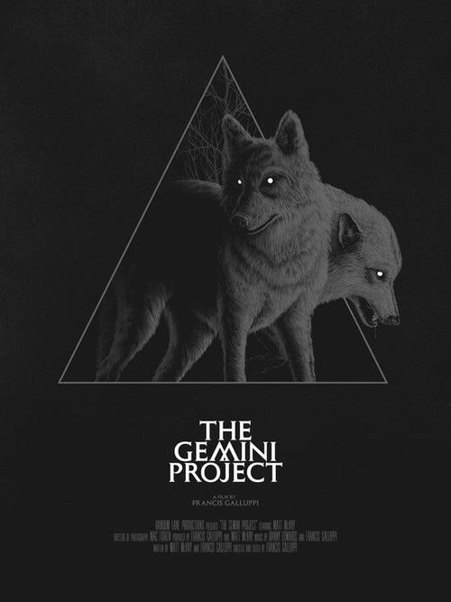 The Gemini Project (2020) poster
