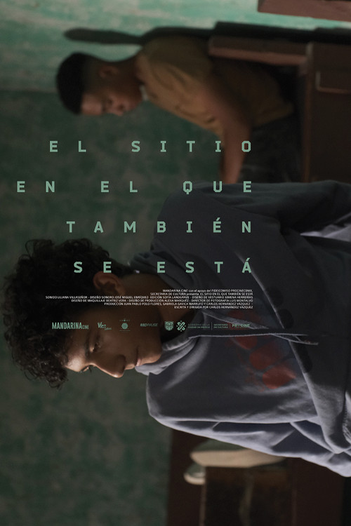 El sitio en el que también se está (2024) poster