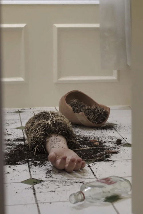 Seeds of Love (2021) poster