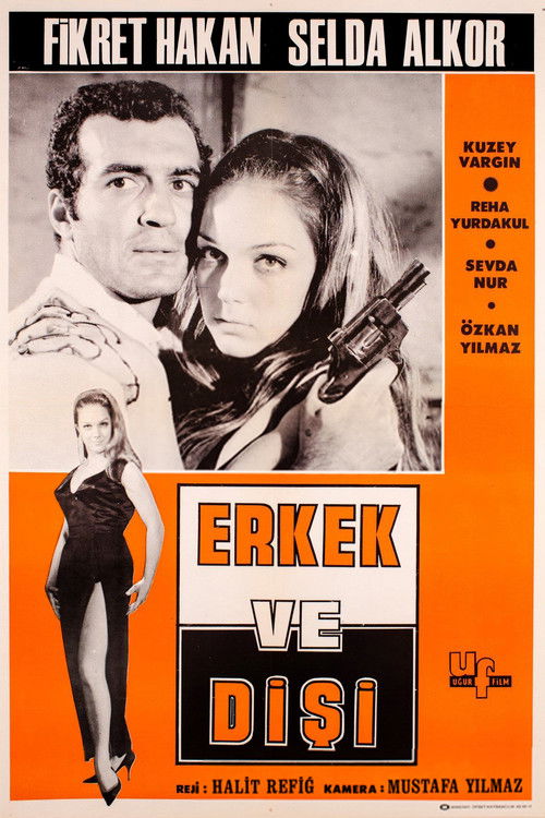 Erkek ve Dişi (1966) poster