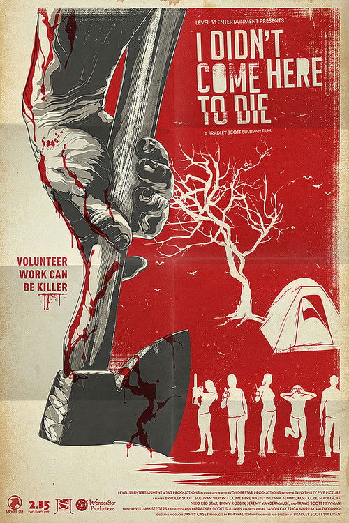 I Didn't Come Here to Die (2010) poster